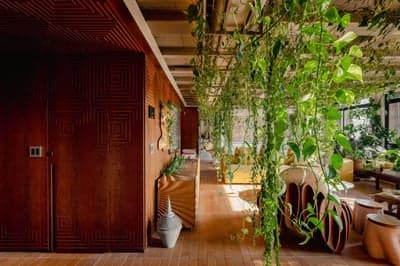 Biophilic Interior with Geometric Wood Paneling