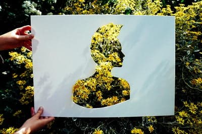 Floral Silhouette Paper Cutout