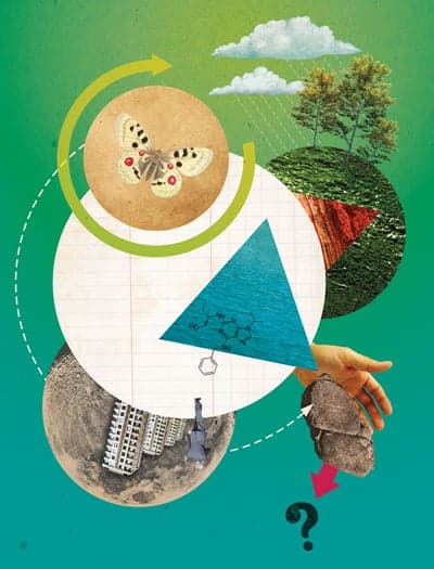 Ecological Inquiry: A Surrealist Mixed-Media Collage