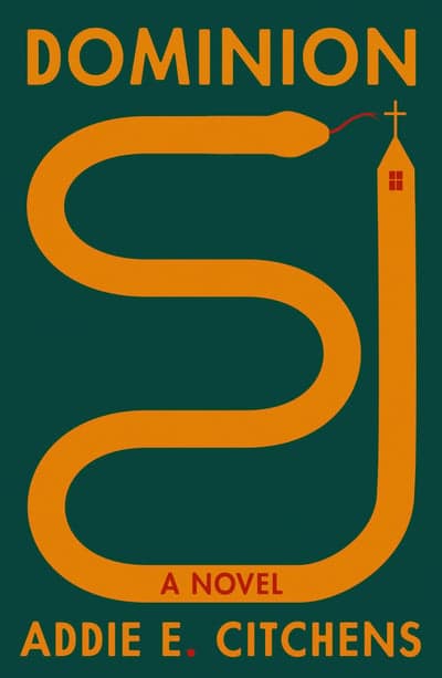 Dominion Book Cover Art