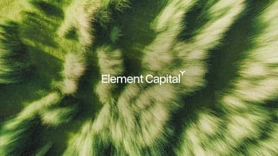 Element Capital Abstract Organic Brand Visual