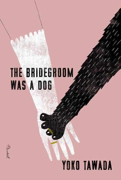 The Bridegroom Was a Dog Book Cover Illustration