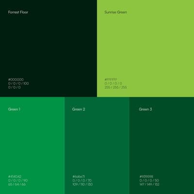 Forest Floor to Sunrise Green Color Palette