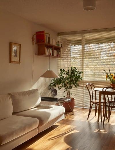 Sunlit Mid-Century Modern Living Space
