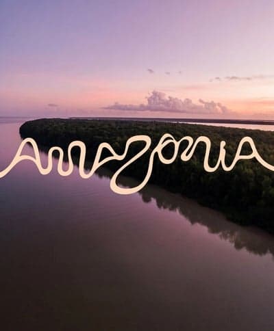 Amazonia Aerial River Sunset