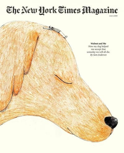 The New York Times Magazine Cover: Walnut and Me