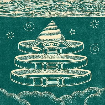 The Hermit Crab's Belted Shell Illustration