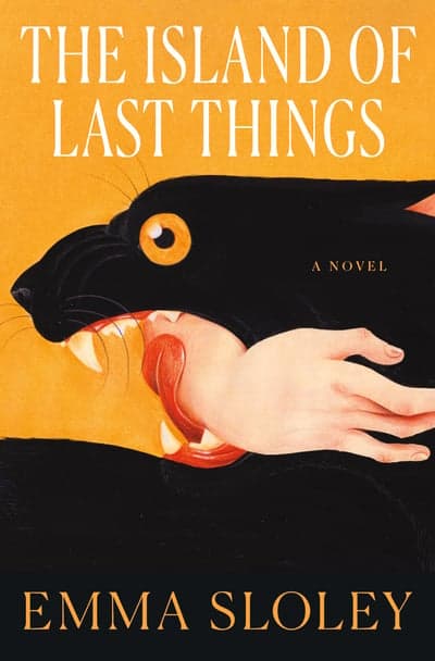 The Island of Last Things Book Cover