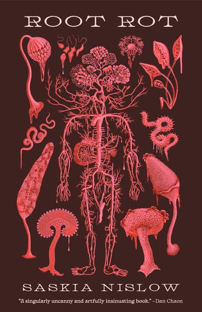 Root Rot Book Cover Illustration