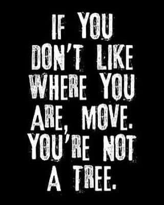 Motivational Quote: You're Not a Tree