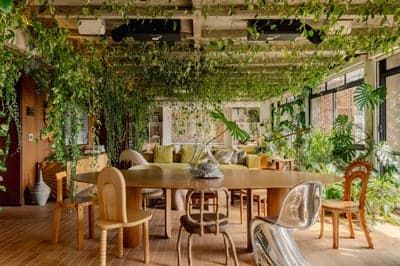 Biophilic Urban Jungle Dining Space