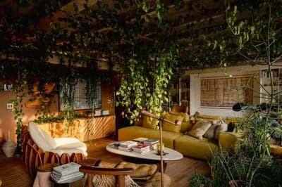 Lush Biophilic Living Room with Indoor Jungle Canopy